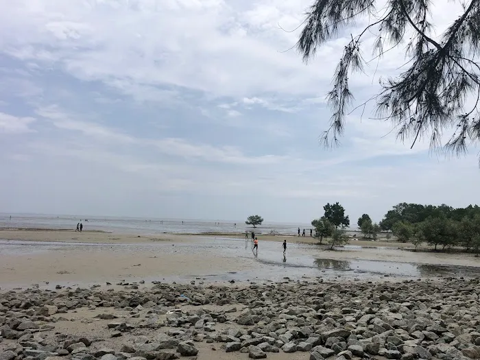 Pantai Kelanang Picture 5