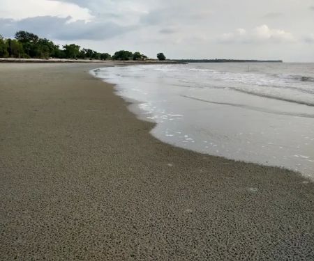 Pantai Tanjung Piai