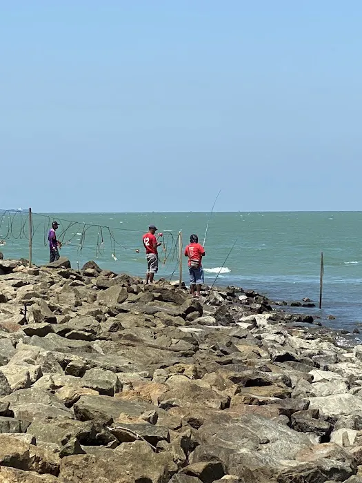 Pantai Tanjung Piai Picture 6