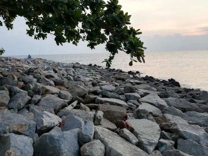 Pantai Tanjung Piai Picture 5
