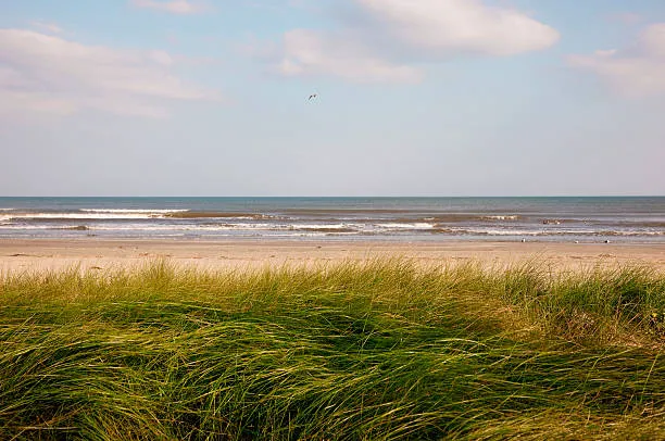 Morib Beach Picture 1