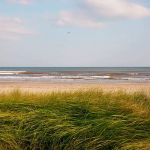 Morib Beach