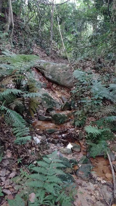 Sungai Bukit Tunggul@Bukit Beirut Picture 5