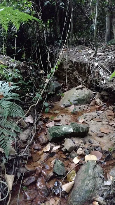 Sungai Bukit Tunggul@Bukit Beirut Picture 1