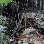 Sungai Bukit Tunggul@Bukit Beirut