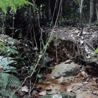 Sungai Bukit Tunggul@Bukit Beirut ico