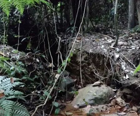 Sungai Bukit Tunggul@Bukit Beirut