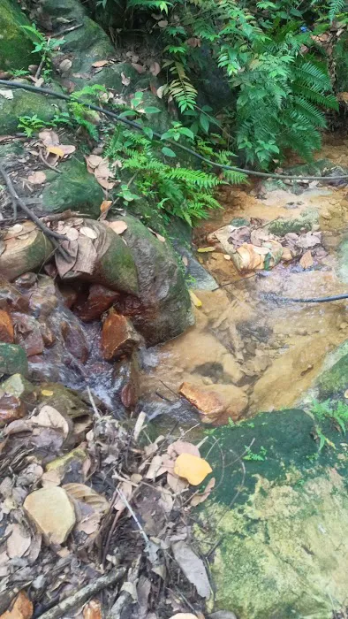 Sungai Bukit Tunggul@Bukit Beirut Picture 4