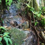 Air Akar Falls