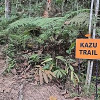 Kazu Trail Junction ico
