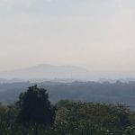 Bukit Tinggi Trails