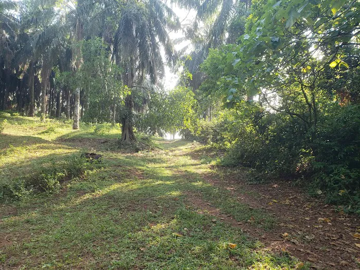 Bukit Tinggi Trails Picture 5