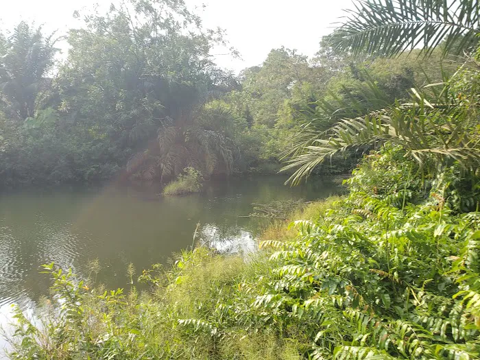 Tasik bandar Damansara Picture 4