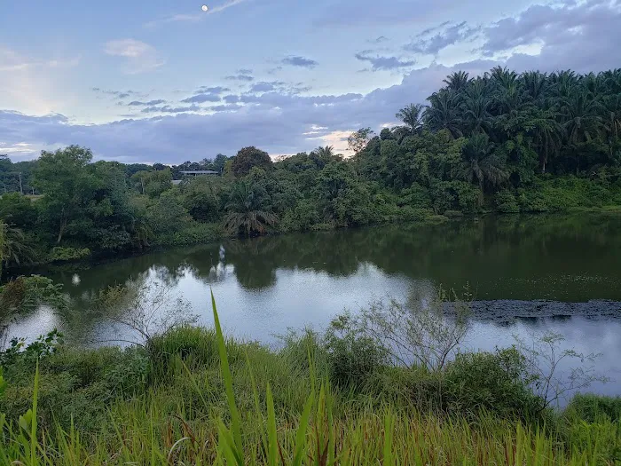 Tasik bandar Damansara Picture 1