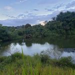 Tasik bandar Damansara