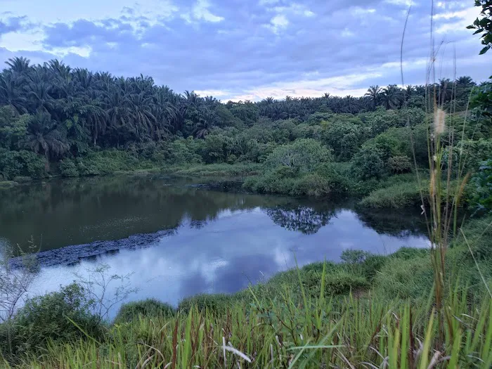 Tasik bandar Damansara Picture 3