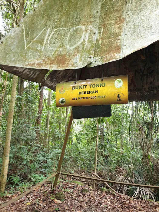 Puncak Bukit Tokki Picture 3