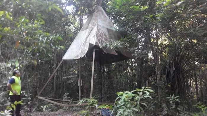 Puncak Bukit Tokki Picture 2