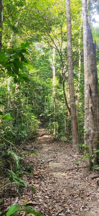 Puncak Bukit Tokki Picture 6