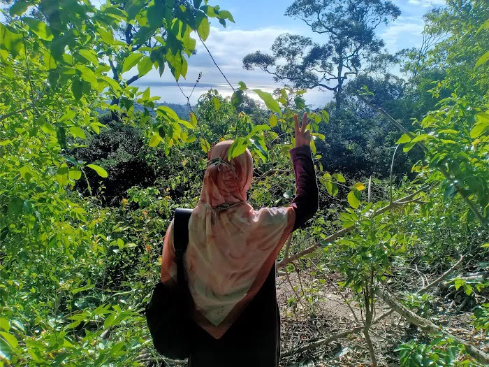 Puncak Bukit Tokki Picture 9