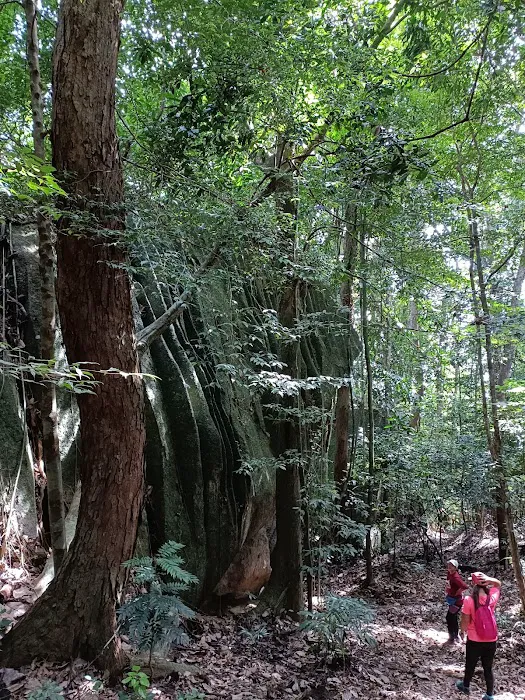 Puncak Bukit Tokki Picture 7