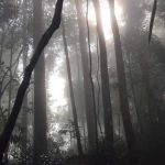 Puncak Bukit Tokki