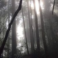 Puncak Bukit Tokki ico