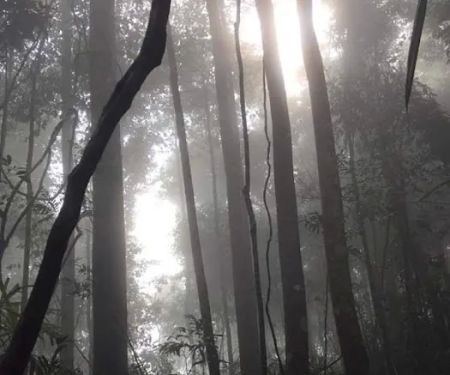 Puncak Bukit Tokki