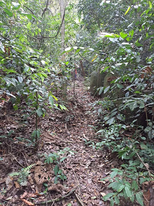 Starting Trail Bukit Tokki Picture 10