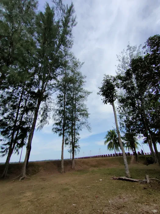 Laguna Park Picture 6
