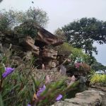 Prem Nodi Resort