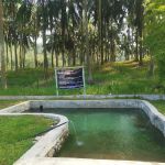 2K Hotspring campsite