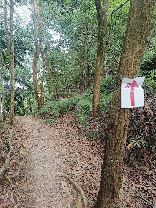 Bukit 527 trailhead Picture 3