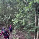Bukit 527 trailhead