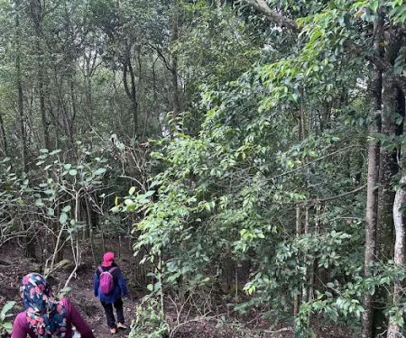 Bukit 527 trailhead
