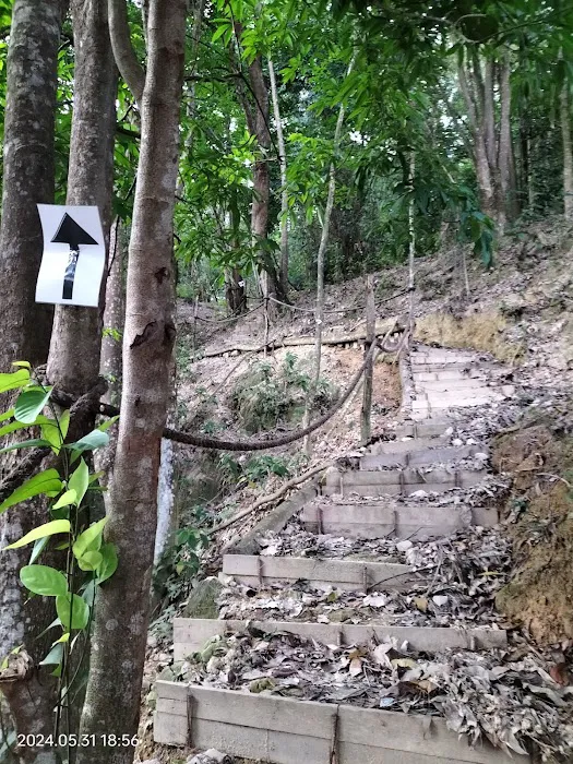 Bukit 527 Picture 2