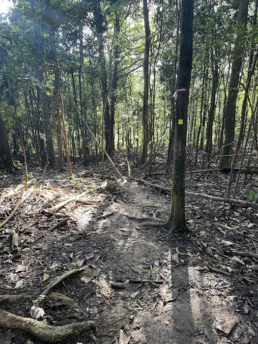 Bukit 527 Picture 3