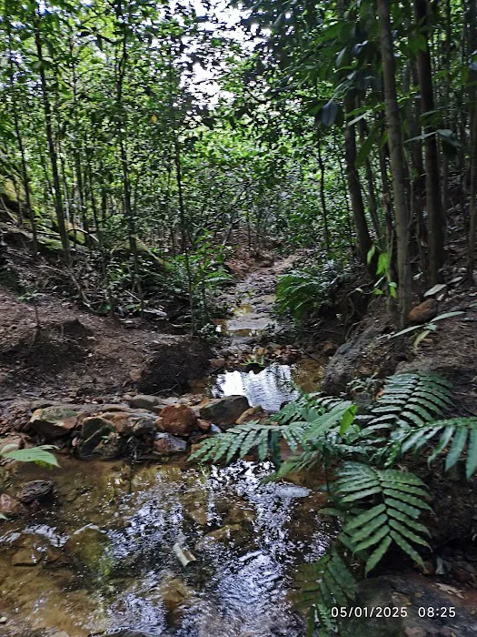 Bukit 527 Picture 7