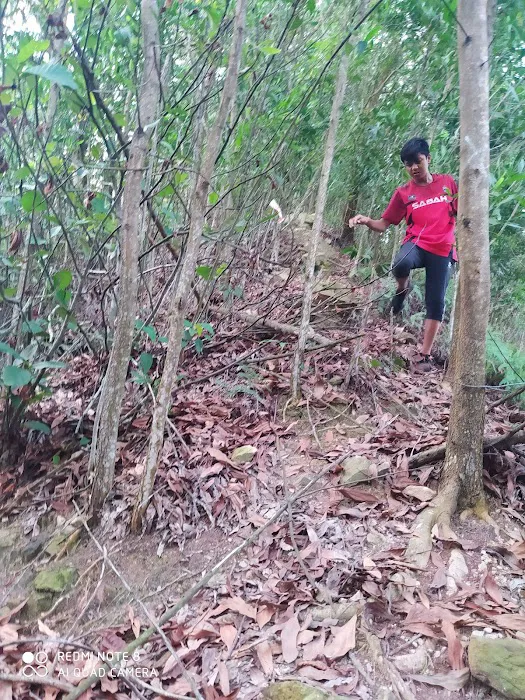 Bukit Mawar Picture 7