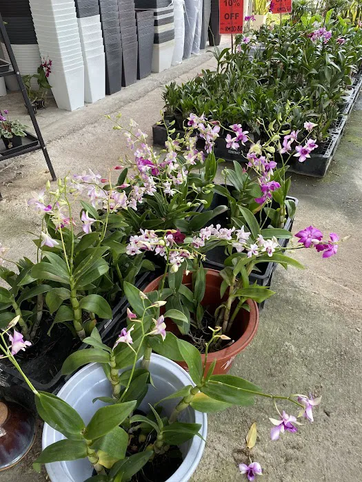 LushFlora.my Kajang Picture 4