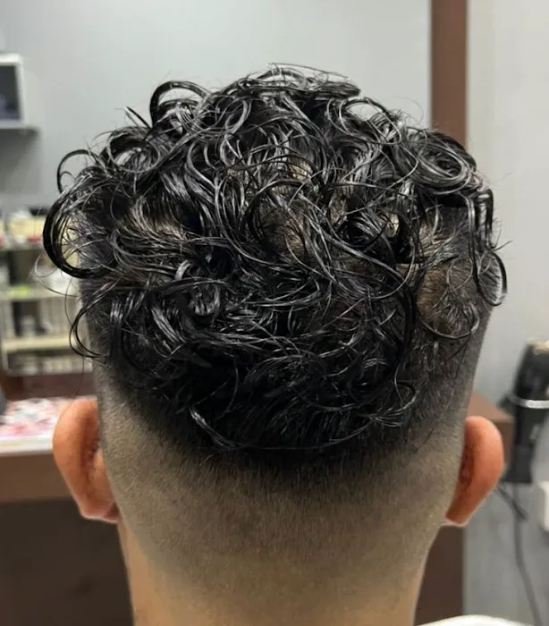 MY CONCEPT HAIR SALON Picture 3