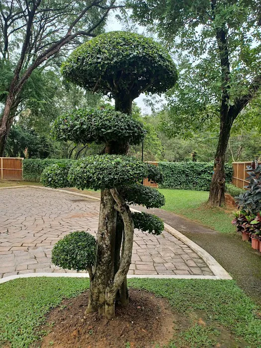 Taman Persahabatan Selangor - Jepun Picture 7