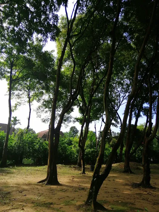 Taman Awam Picture 6