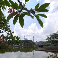 Taman Tasik Shah Alam (Tasik Tengah) ico