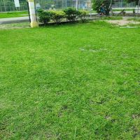 Surau Kampung Putra Air Baning ico