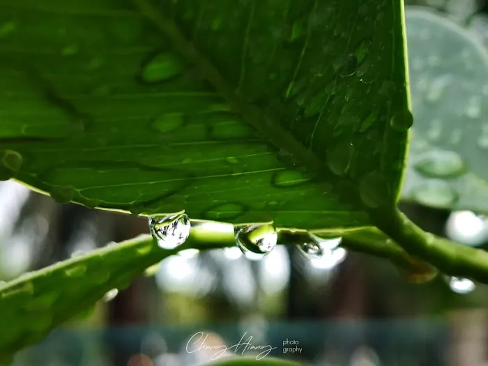 Butterfly Park Picture 6