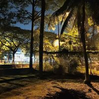 Butterfly Park ico