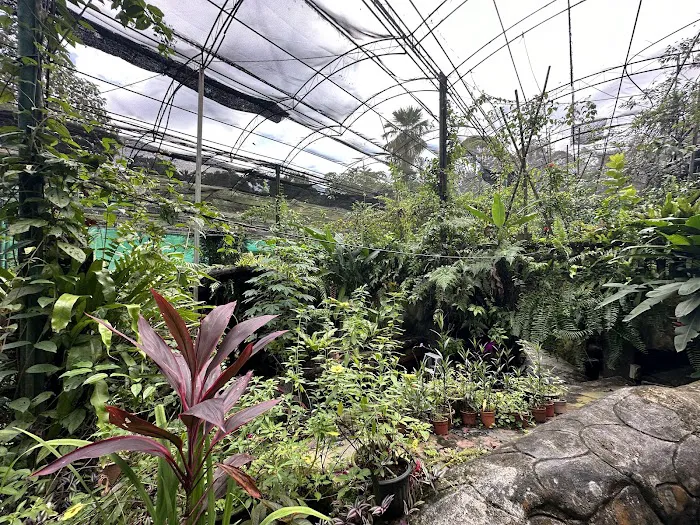 Butterfly Park Picture 8