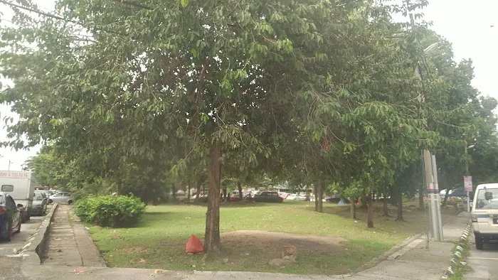 Park Beside Surau Al-Hidayah Picture 3