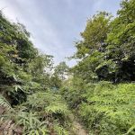 Bukit Kiara Trail - Sri Hartamas
